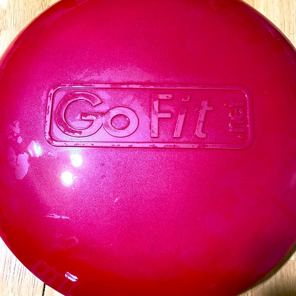 Go Fit Stability & Core Disk